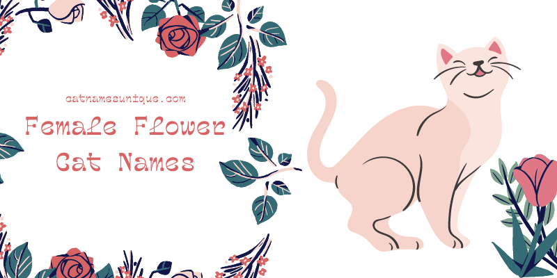 Female Flower Cat Names