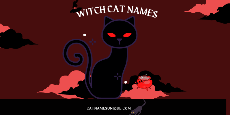 Witchy Names for Cats