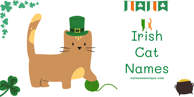 Irish Cat Names