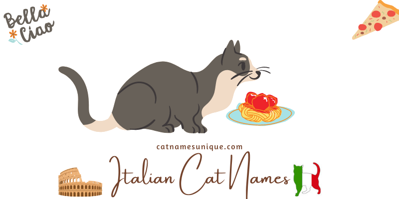 Italian Cat Names with Meanings